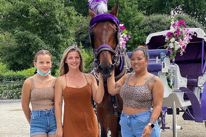 NYC Central Park Horse Carriage Rides (Winter sale) - Key things to know before you ride