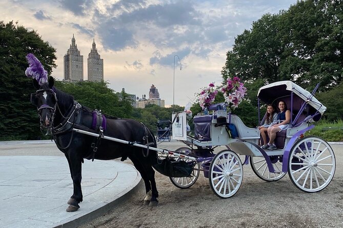 NYC Central Park Horse Carriage Rides (Winter sale) - Getting to the carriage: 7th Ave & West 59th St