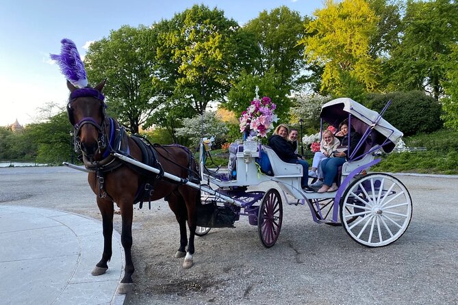 NYC Central Park Horse Carriage Rides (Winter sale) - Feeding the horses: included, but time it right