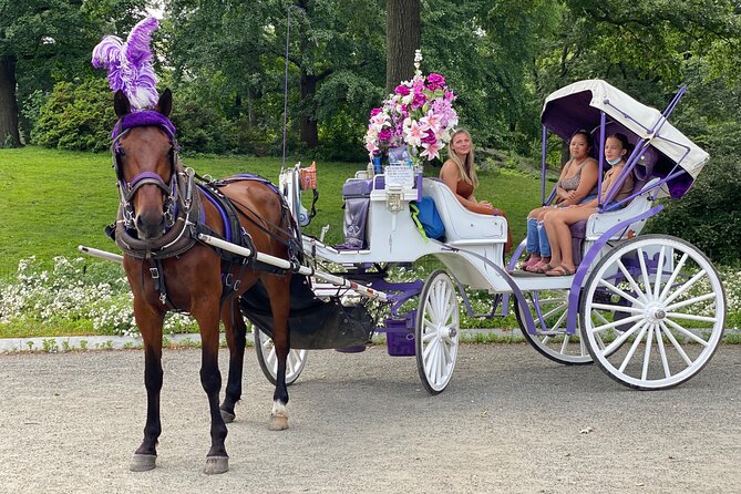 NYC Central Park Horse Carriage Rides (Winter sale) - Horse ride operations: weather and air quality can change the day