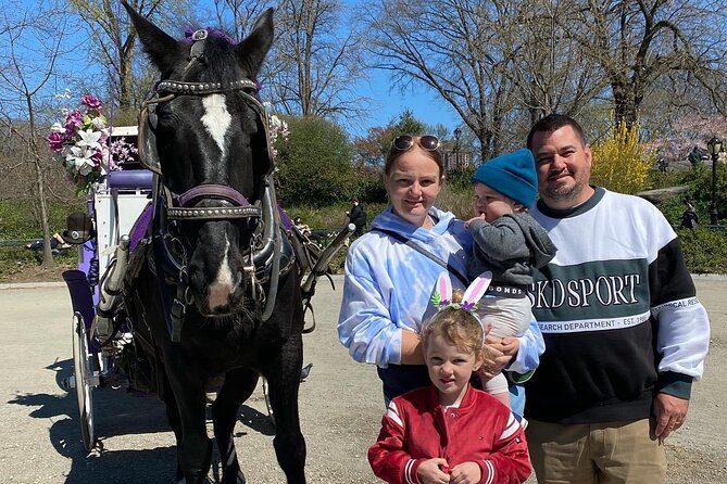 NYC Central Park Horse Carriage Rides (Winter sale) - Value check: what you’re actually paying for