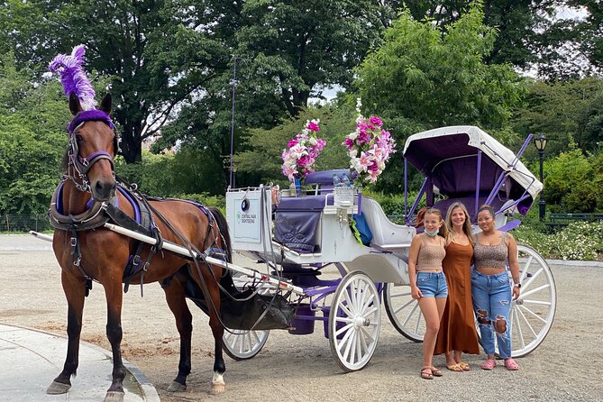 NYC Central Park Horse Carriage Rides (Winter sale) - Winter comfort that actually matters: blankets and a tight time window