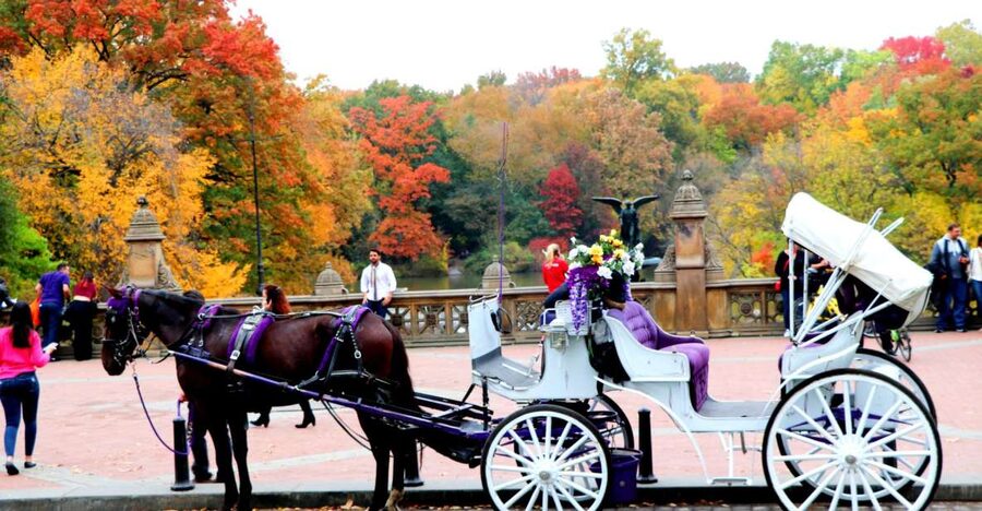 NYC: Central Park Horse-Drawn Carriage Ride (up to 4 Adults) - Meeting José Julián Martí: Finding Your Carriage Fast