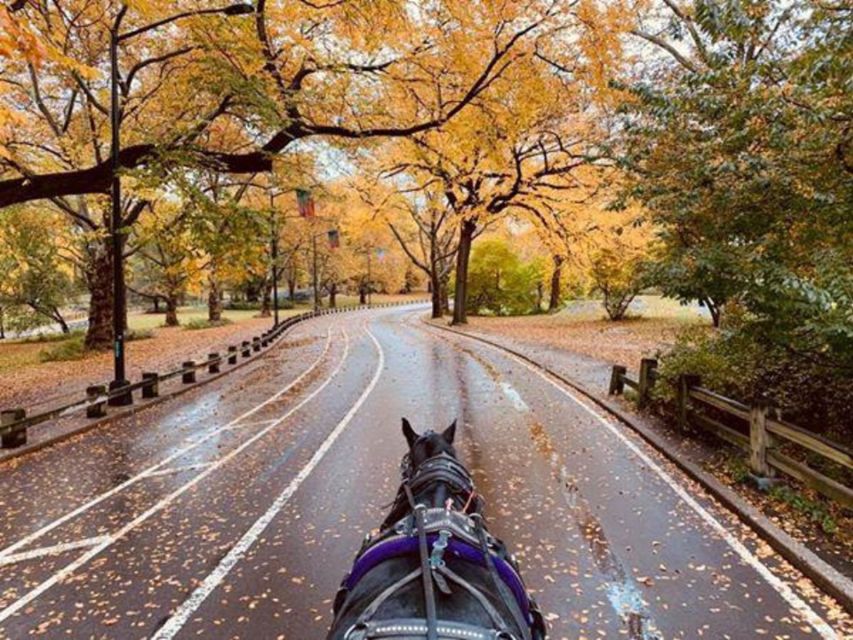 NYC: Central Park Horse-Drawn Carriage Ride (up to 4 Adults) - Cherry Hill and the Hilltop Buggies