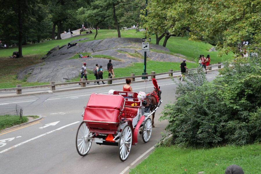 NYC: Central Park Horse-Drawn Carriage Ride (up to 4 Adults) - General Sherman, Mazzini, and the Stuff You Usually Miss