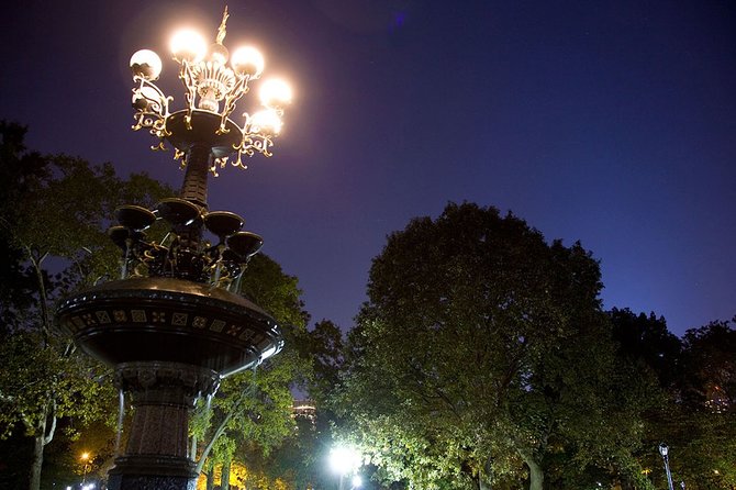 NYC Central Park Night Time Photography Tour - The Plaza and Central Park bridge: short stops, strong frames