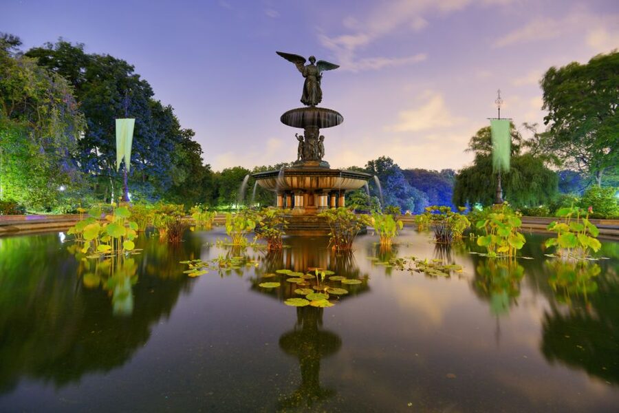 NYC: Central Park Pedicab Highlights Tour - How the guide customizes your Central Park route