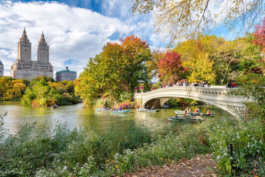 NYC: Central Park Pedicab Highlights Tour - Going beyond the basics in the 2-hour version: Alice, the Castle, Shakespeare, Reservoir