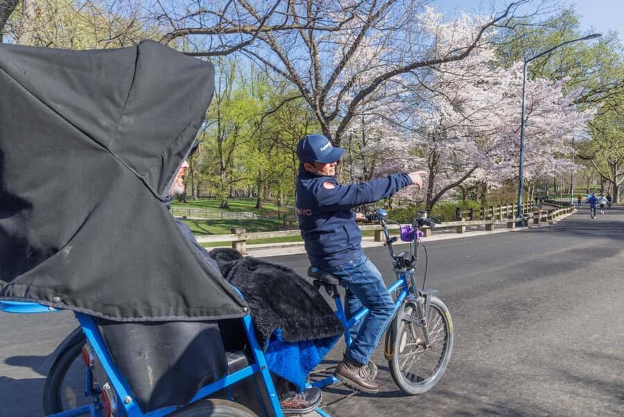 NYC: Central Park Pedicab Tour and Natural History Access - Cherry Hill and the Friends Connection You’ll Notice Immediately