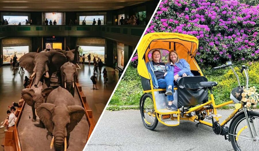 NYC: Central Park Pedicab Tour and Natural History Access - The Bethesda Fountain and Bow Bridge Stops That Make It Worth It