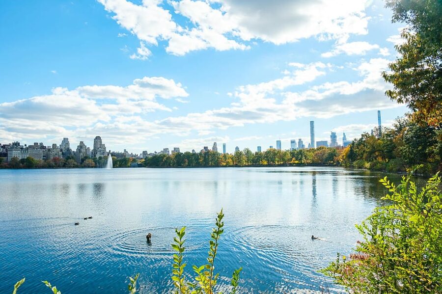 NYC: Central Park Pedicab Tour with Photo Stops - Comfort Matters: Blankets, Weather, and How to Dress for the Pedicab