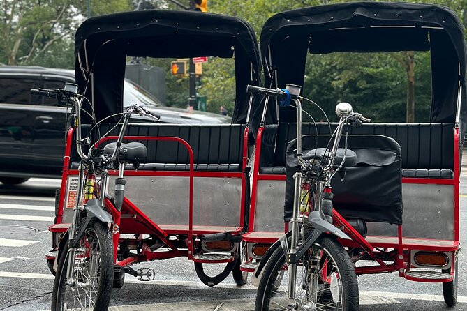 NYC Central Park Pedicab Tours - Why a Central Park pedicab tour beats walking