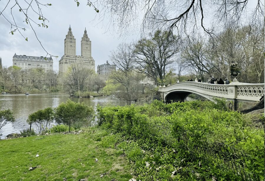 NYC: Central Park Rickshaw Tour / Private and Guided - Movie and TV filming spots: how to spot them as you ride