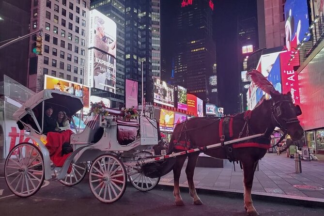 NYC Central Park & Rockefeller Center Private Horse Carriage Tour - Price check: what $195 per group actually buys you