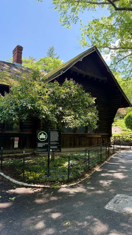 NYC: Central Park Storytelling Pedicab Tour with Theater - Key things to know before you go