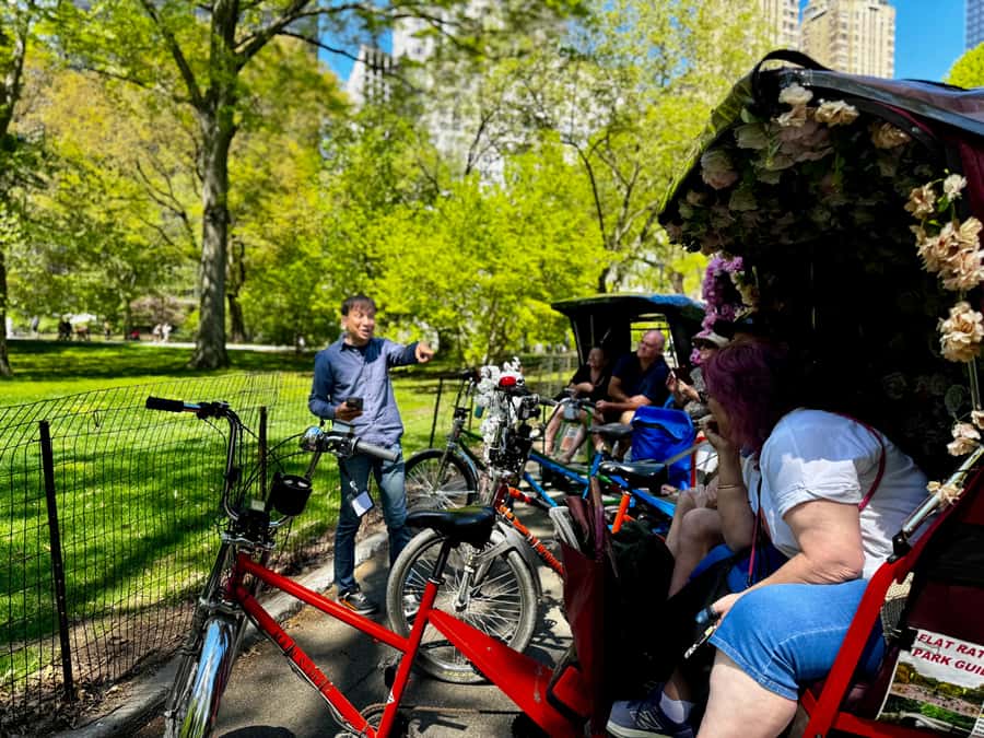 NYC: Central Park Storytelling Pedicab Tour with Theater - From the Carousel to Wollman Rink: early highlights and atmosphere