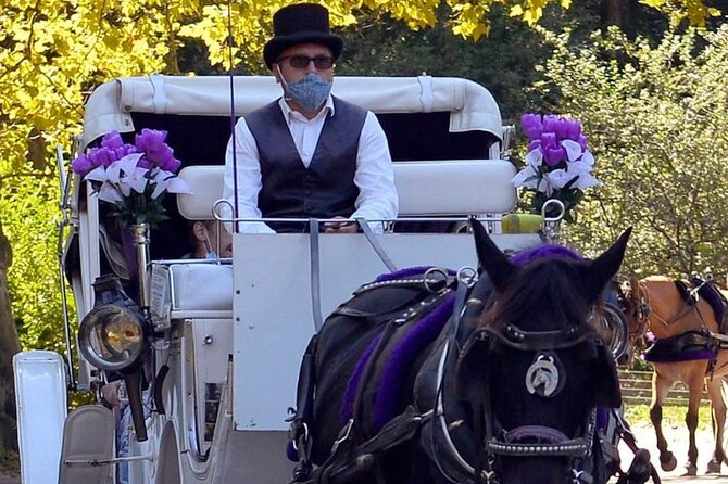 NYC Central Park VIP Horse and Carriage Ride - The VIP carriage ride rhythm: 45–50 minutes, not a full-day project