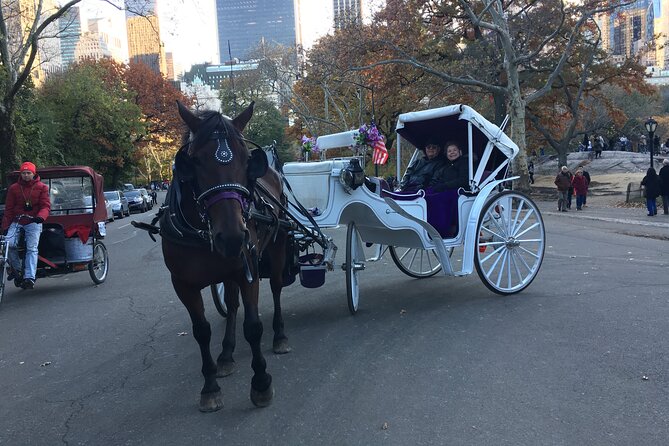 NYC Central Park VIP Horse and Carriage Ride - What makes the ride feel good in real life