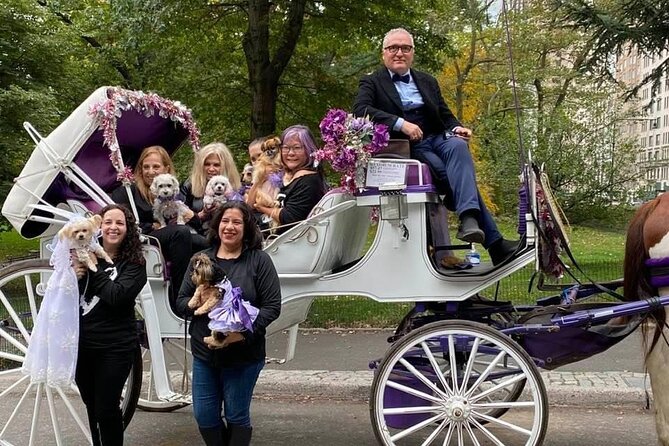 NYC Central Park VIP Horse and Carriage Ride - Price and value: when VIP carriage beats DIY