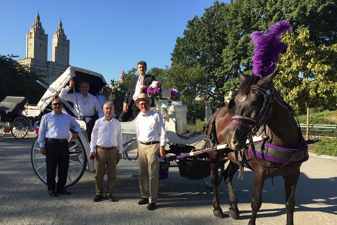 NYC Central Park VIP Horse and Carriage Ride - A quick reality check before you book