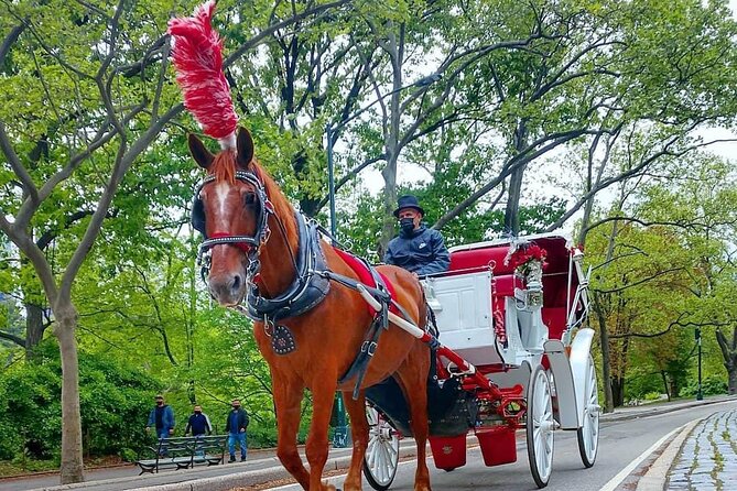 NYC Central Park VIP Horse and Carriage Ride - The sights you’ll roll past: a stop-by-stop Central Park tour