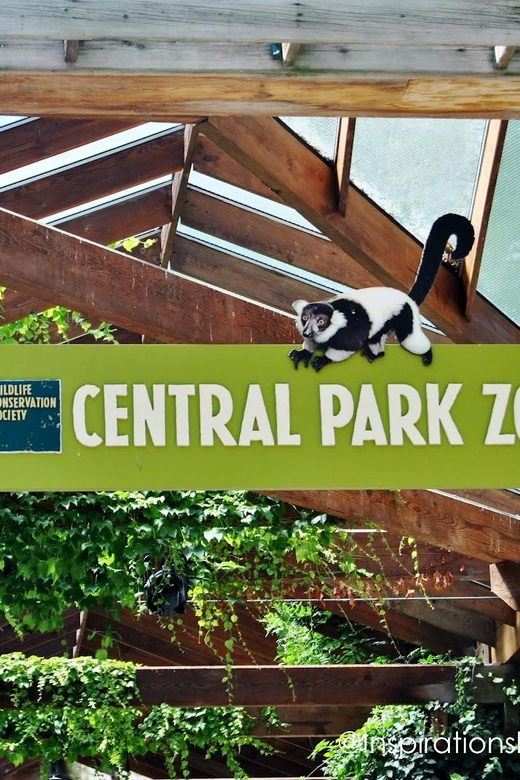 NYC: Central Park Zoo Entry Ticket & Manhattan Walking Tour - Five Points to Chinatown: Learning While You Walk