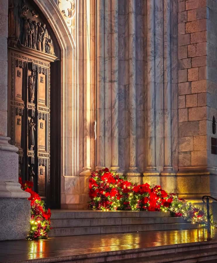 NYC: Christmas Holiday Guided Walking Tour with Dessert - Rockefeller Center: Christmas tree, Channel Gardens, and the Midtown magic switch