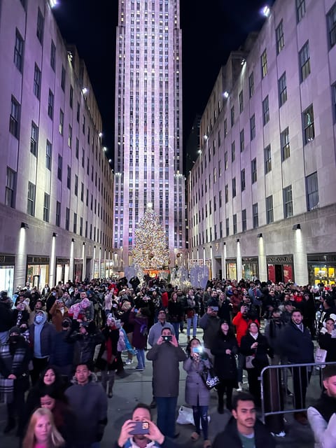 NYC: Christmas Lights Horse Carriage Ride - Key things I’d plan around