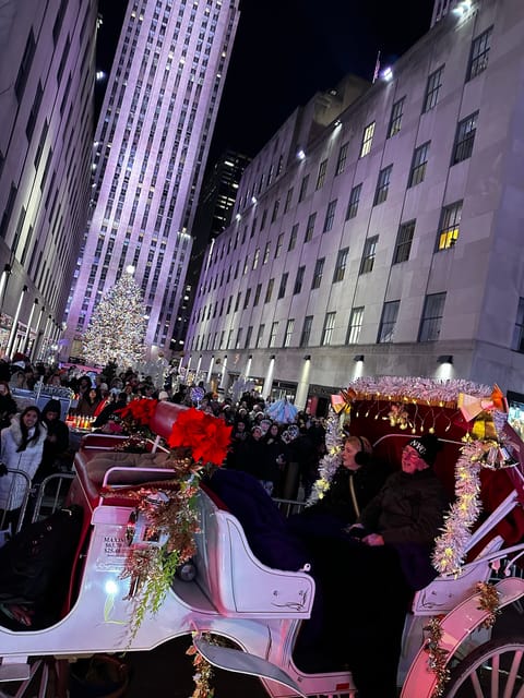 NYC: Christmas Lights Horse Carriage Ride - Why This 45-Minute Carriage Ride Works for NYC Christmas Lights