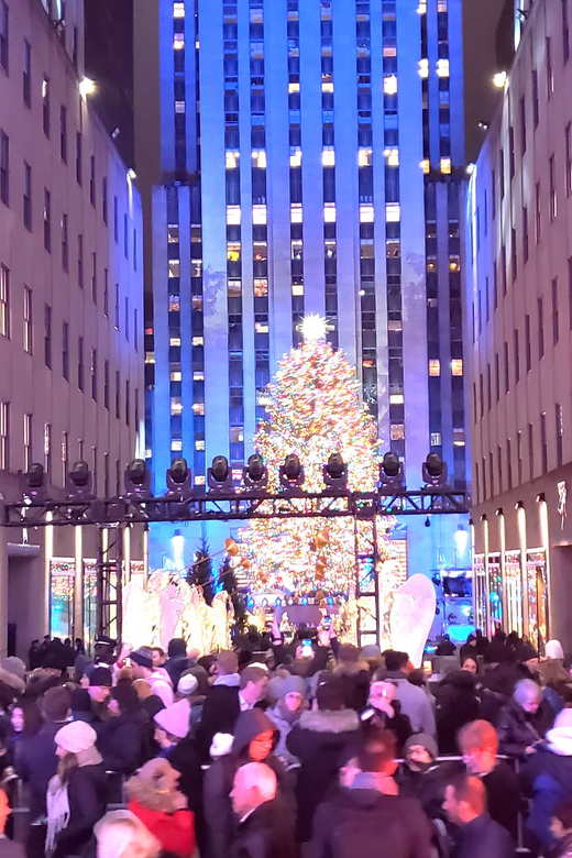 NYC: Christmas Lights Horse Carriage Ride - Avenue of the Americas Public Plaza and the Return Through 6th Avenue