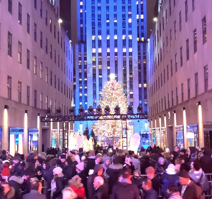NYC: Christmas Lights Horse Carriage Ride - Where You Start: Central Park’s 59th Street and 7th Avenue Entrance