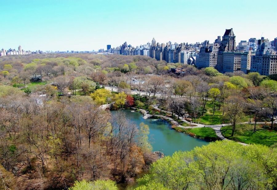 NYC: Custom Highlights & Hidden Gems Tour with a Local - Shopping on a Celebrity-Frequented Street (With Context)