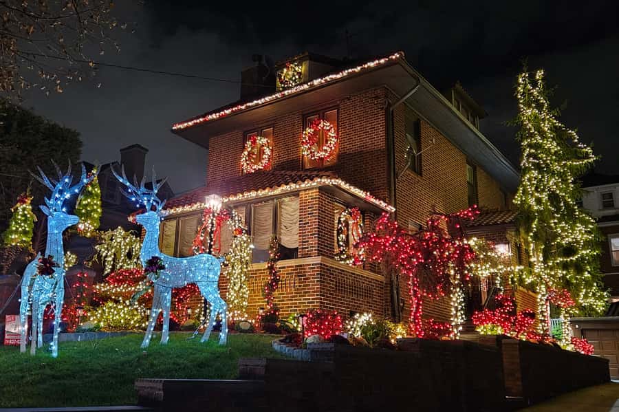 NYC: Dyker Heights Christmas Lights Tour with Hot Cocoa - Should You Book This Dyker Heights Christmas Lights Tour?