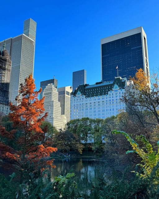 NYC: Elf & Home Alone 2 Locations Central Park Pedicab Tour - Carnegie Hall: The Music Side of the Story