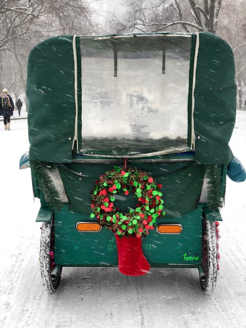 NYC: Elf & Home Alone 2 Locations Central Park Pedicab Tour - Who This Tour Fits Best (Families, Couples, Holiday Fans)