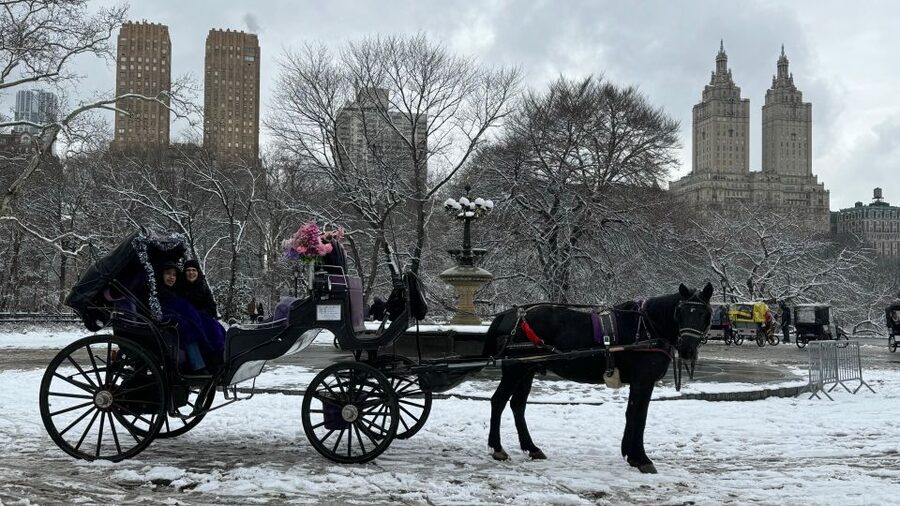 NYC Empire State Horse Carriage Ride in Central Park(45mins) - Key highlights you will feel right away
