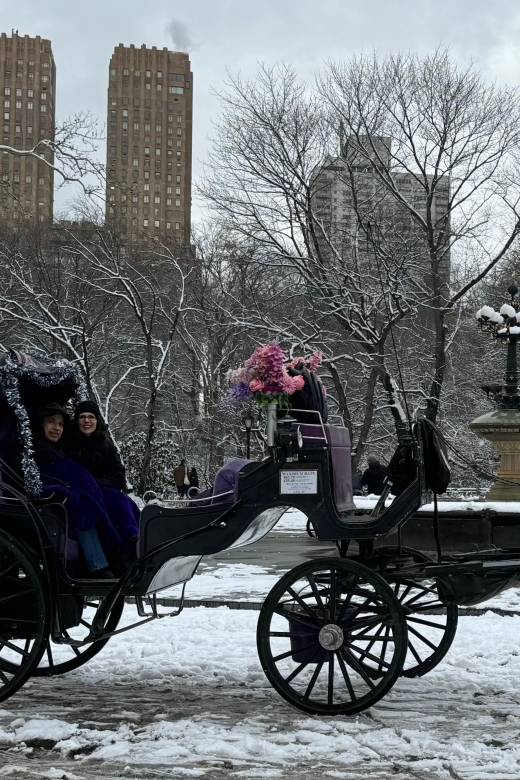 NYC Empire State Horse Carriage Ride in Central Park(45mins) - Your driver experience: clear guiding and patient photo moments