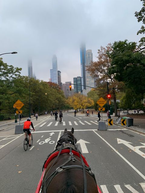 NYC Empire State Horse Carriage Ride in Central Park(45mins) - FAQ