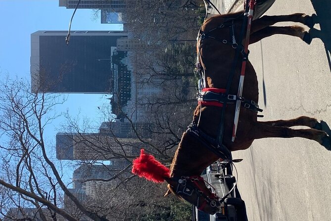 NYC Empire State Horses Carriage Ride in Central Park (45 Mins) - Key highlights before you go