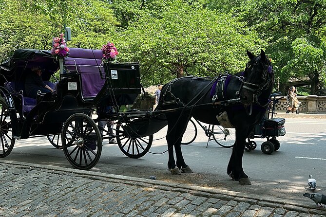 NYC Empire State Horses Carriage Ride in Central Park (45 Mins) - A 45-minute ride that hits Central Park’s greatest hits
