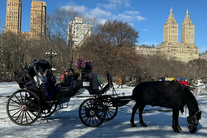 NYC Empire State Horses Carriage Ride in Central Park (45 Mins) - Blankets, horses, and the photo-stop rhythm