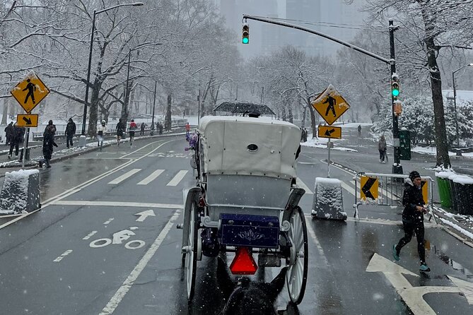 NYC Empire State Horses Carriage Ride in Central Park (45 Mins) - Movie-location chatter near Summer Stage and the Boathouse