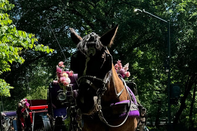 NYC Empire State Horses Carriage Ride in Central Park (45 Mins) - Sheep Meadow and Tavern on the Green to close strong