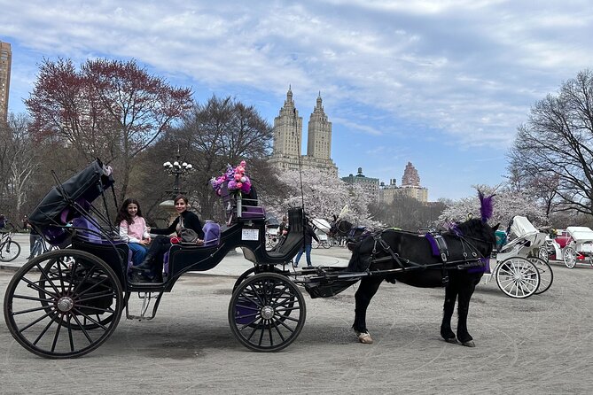 NYC Empire State Horses Carriage Ride in Central Park (45 Mins) - How the private guide experience works (and why it matters)