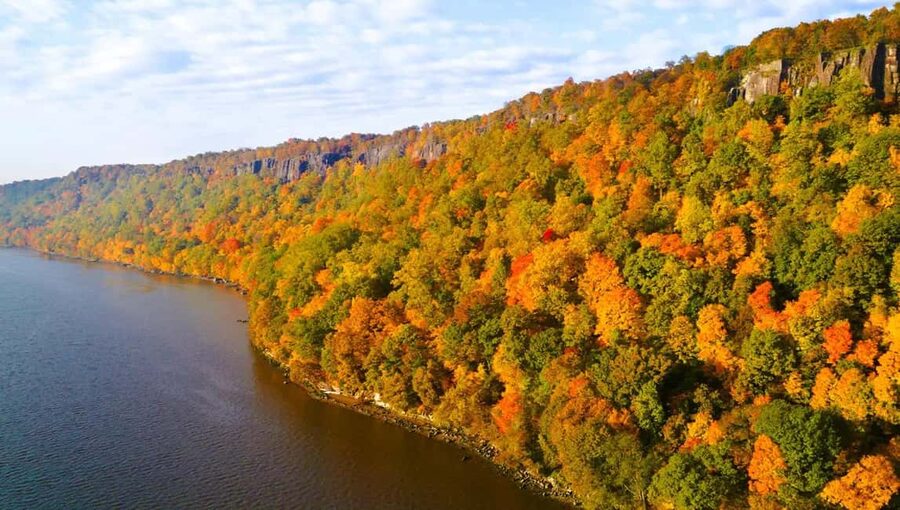 NYC: Fall Foliage Cruise with Live Guide - Value check: is $59 worth it for you?