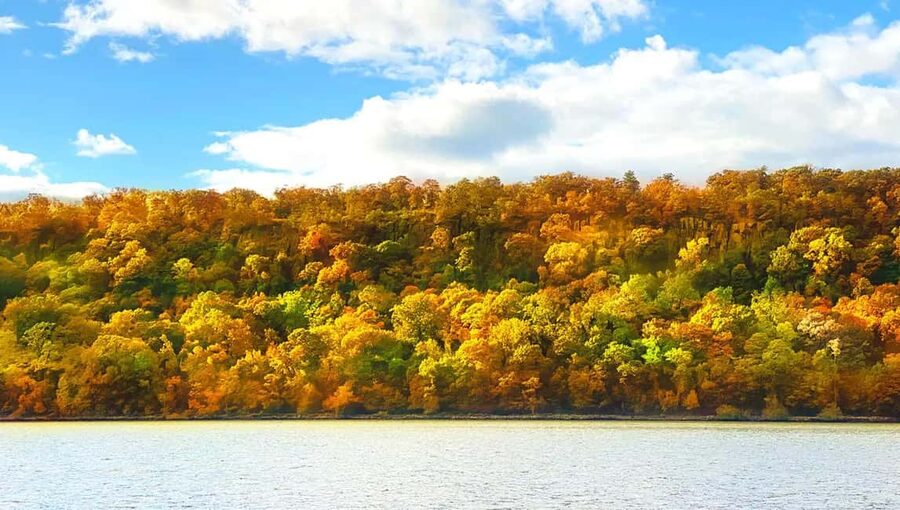 NYC: Fall Foliage Cruise with Live Guide - Who this cruise is best for (and who should skip it)