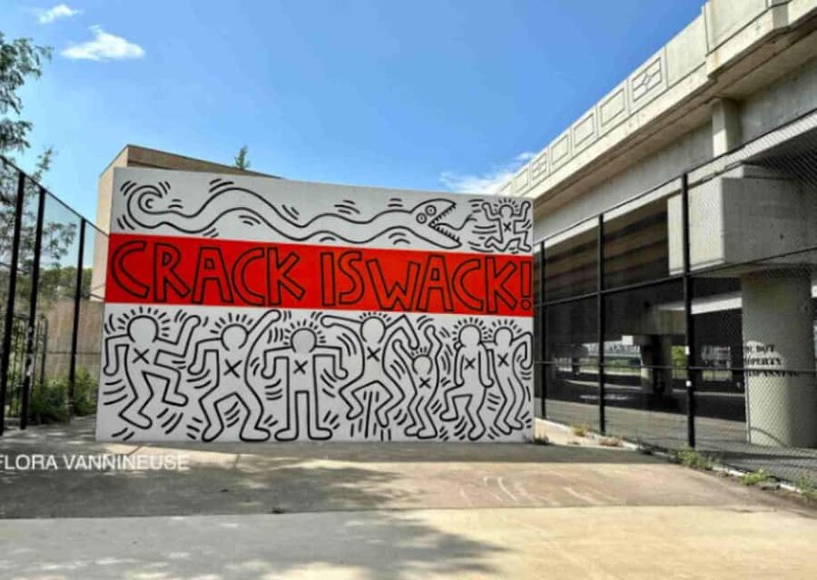 NYC | French guided tour Hip-Hop in East Harlem & Bronx - East Harlem murals and the Graffiti Hall of Fame stop