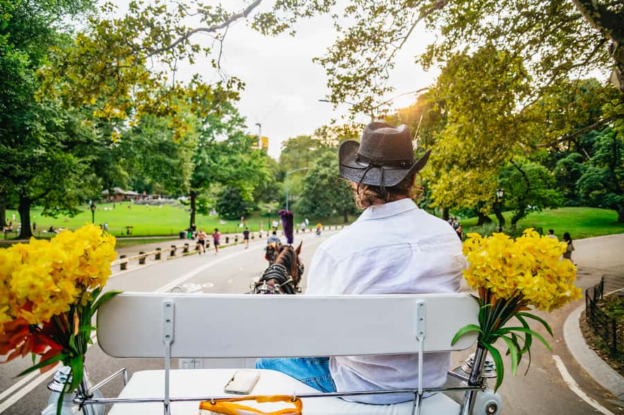 NYC: Guided Central Park Horse Carriage Ride - Key highlights you’ll actually feel