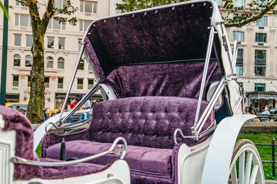 NYC: Guided Central Park Horse Carriage Ride - Price and value: what you’re really paying for