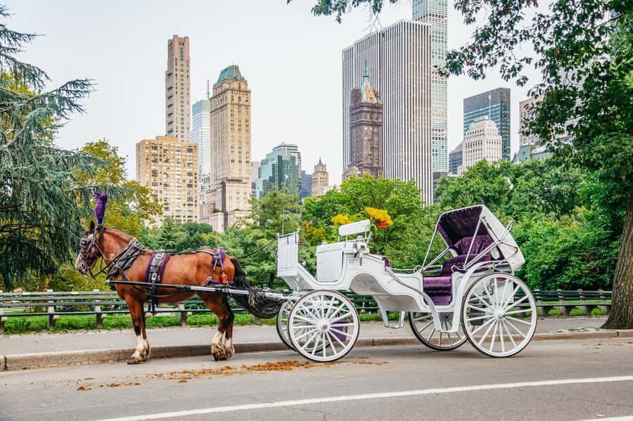 NYC: Guided Central Park Horse Carriage Ride - The Bethesda Fountain moment: the photo stop you’ll remember